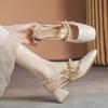 Thick Medium Heel Small Fragrant Style Summer New Bag Head Sandals Fairy Style French Rear Empty Single Shoes Mary Jane Shoes Women