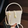 Korean Ins Casual Straw PU Hand-carried Bucket Bag Women's 2025 New Fashion Versatile Commuter Temperament Messenger Bag