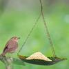 Iron Hanging Bird Feeder for Outside Use Swing Hanging Design Attracts Birds Decorates Garden Patio Balcony Platform Bird Feeder