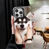 Аляскинский Хаски Милые Собаки Ударопрочный Чехол для Телефона для iPhone 17 Air 16 16E 15 Pro Max 14 Plus 13 Mini 12 Задняя Крышка Противоударный Fundas