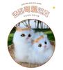 Фигурка Кошка-мать и котенок с корзиной - Игрушка-подарок для детей или девушки