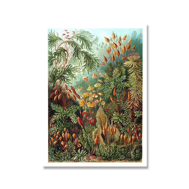 Ретро Флора Плакаты и принты с растениями, образование, настенная художественная картина, холст, живопись