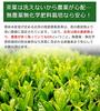 Shizuoka Prefecture produced whole leaf powdered green tea organic grown without chemical fertilizers nutritious consumption 100g per bag (2 bags) 200