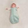 Ergo Pouch Cocoon Swaddle Bag Swaddle Sage [ergoPouch] [подлинный] 2.5TOG 3-6M