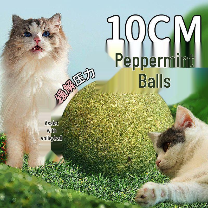 Giant Catnip Ball Toy 10cm - Self-Entertainment Decompression for Cats
