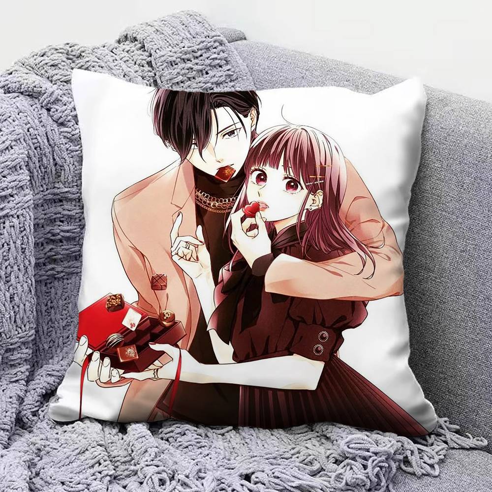 How I Met My Soulmate Manga Pillow Covers Home Sofa Cushion Covers and Aecorative Custom