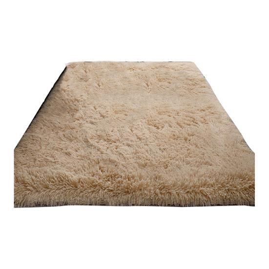 Fluffy Floor Mat Plush Area Rug with Non-slip Backing Shaggy Fuzzy Bedroom Carpet Bedside Rug for Nursery Playroom Living Room Dorm
