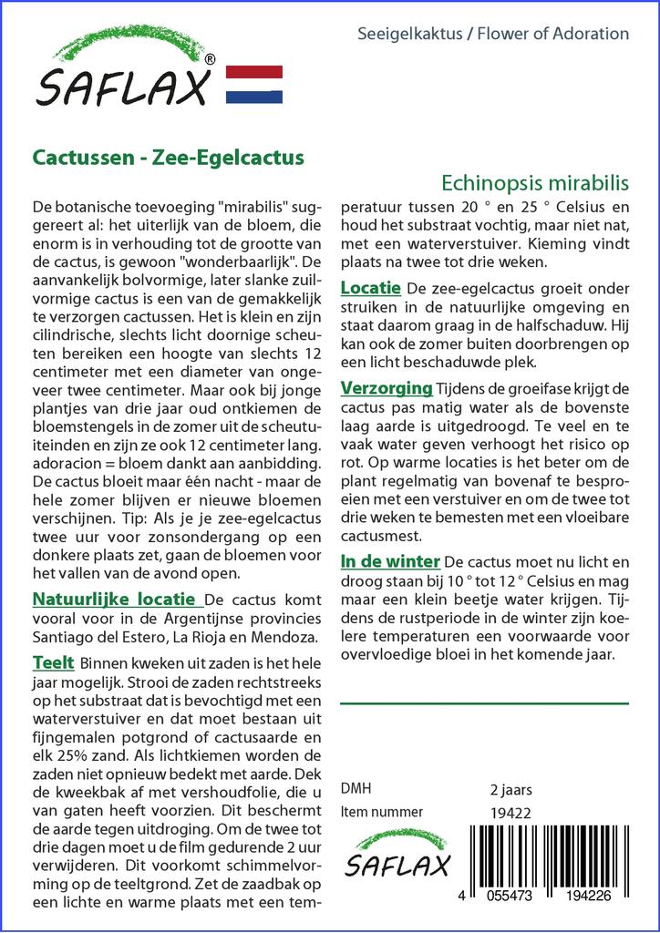 SAFLAX Garden in the Bag - Flower of Adoration - 40 семян - С субстратом в подходящем пакете - Echinopsis mirabilis