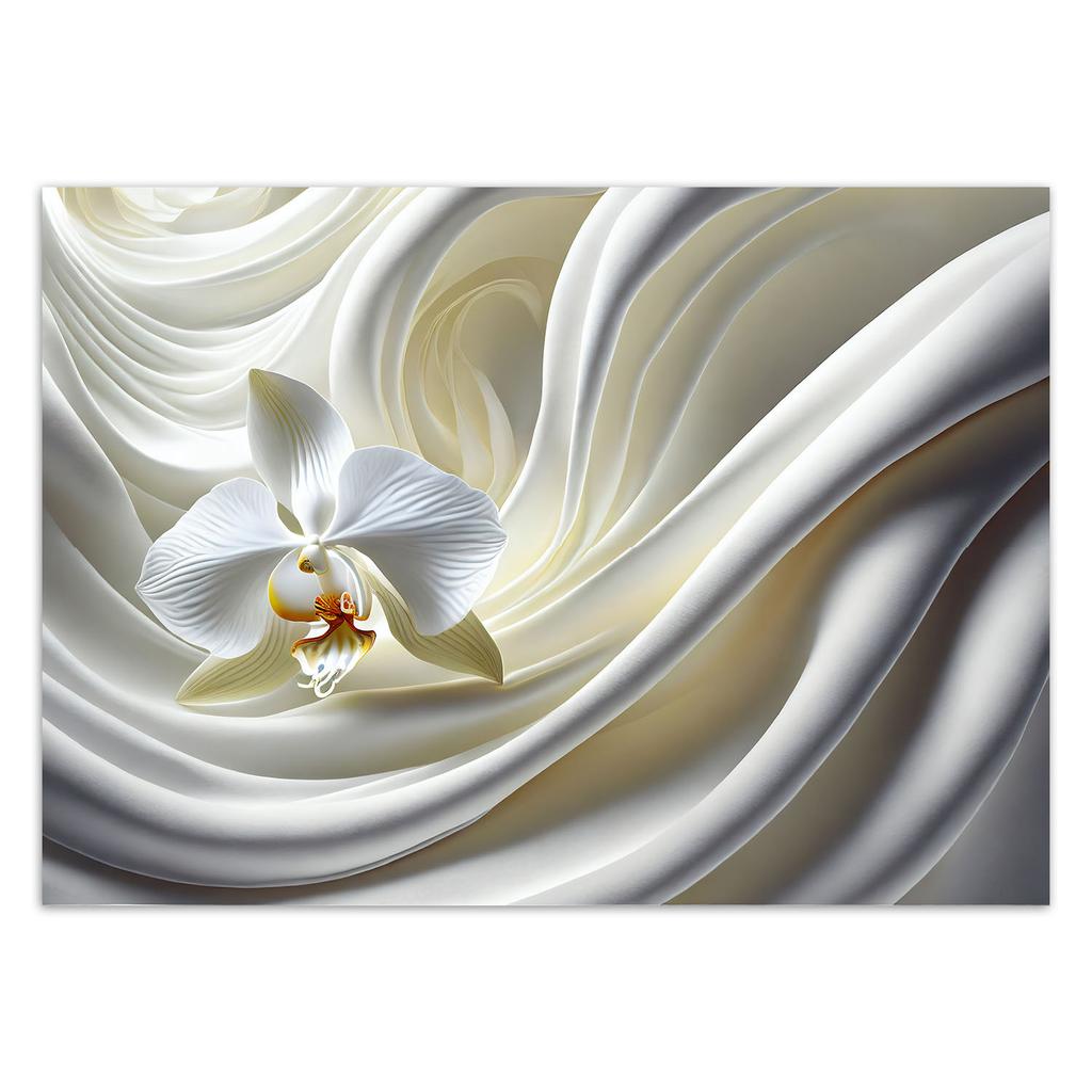 Обои Белая орхидея