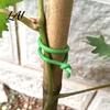Indoor And Outdoor Plant Organizer 32.8Ft Twist Garden Green Soft Tie Tie with Spool 2.5mm Diameter