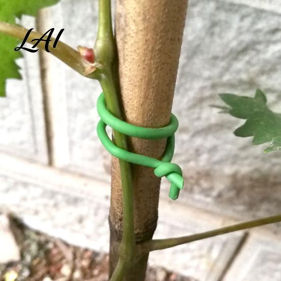 Indoor And Outdoor Plant Organizer 32.8Ft Twist Garden Green Soft Tie Tie with Spool 2.5mm Diameter