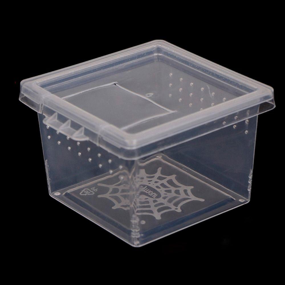 Для муравьев-скорпионов, аксессуары для рептилий, пластиковый инкубатор, террариум для ящериц, бокс для кормления насекомых, среда обитания рептилий