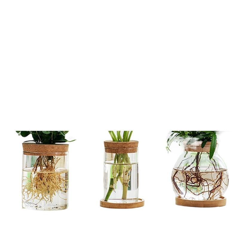 1 шт. Круглая ваза для цветов Гидропонный контейнер Настольная кашпо Декор Стеклянная бутылка с деревянной пробкой для выращивания зеленых растений