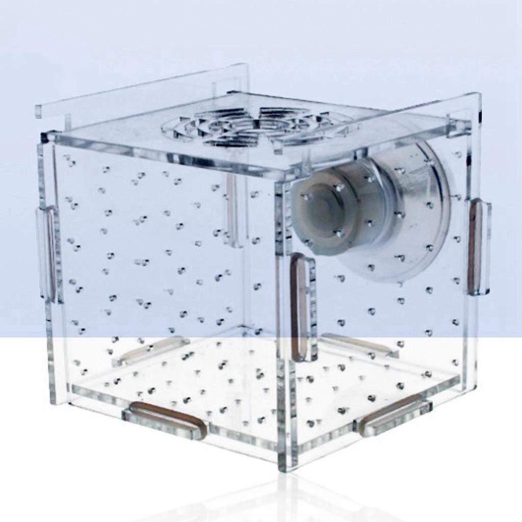 Aquarium Fish Breeder Box Square Suction Cup Hatching Incubator Box for Aggressive Fish Baby Prawn Shrimp Clownfish Newborn Fry
