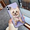 Чехол для телефона с Йоркширским терьером для iPhone 16 15 14 13 12 11 Pro Max 12 13 mini XR 15 16 Plus 16e Защитный корпус