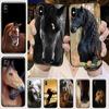 Horse Animal Painting Pattern Silicone Black Phone Case For Iphone Se 5c 6 6s 7 8 Plus X Xs Xr 11 12 13 Pro Max Mini
