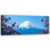 Canvas Print, Cherry Blossoms and Mount Fuji