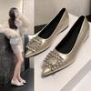 French Beautiful Heightening Pointed Rhinestone Shoes In the Autumn of 2025 New Temperament Versatile Shallow Mouth Mary Jane Shoes Women