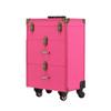 Universal Brake Wheel Trolley: Multi-Layer Large Nail & Tattoo Storage Makeup Box