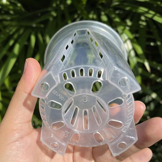 Transparent Orchid Pot Plant Pot With Drainage Holes Phalaenopsis Flower