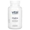 Vital Nutrients, Холин, 550 мг, 120 вегетарианских капсул (275 мг на капсулу)