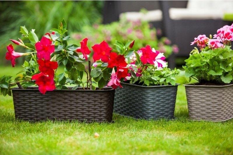 Anthracite rattan balcony box 40 cm