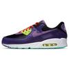 Кроссовки Air Max 90 Violet Blend Повседневная обувь CZ5588-001