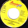 7inch Record CAPLETON - What They Gonna Do Know NONE Manatee Records 1998 Jamaica Reggae, Ska & Dub Used