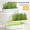 1pc Hydroponic Cat Grass Box Cat Treats Catnip Hydroponic Soilless Planting Cat Grass Pot Set for Easy Growth
