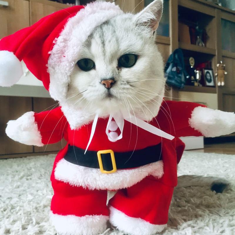 Кошка Собака Рождественские Косплей Костюмы Для Маленьких Средних Собак Кошки Смешные Вечеринки Творческие Новинки Щенок Котенок Одежда Йоркширский терьер Pet Coat