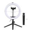 10 Inch LED Ring Light Video Conference Lighting 3 Lighting Modes 11 Levels Adjustable Brightness USB Powered with