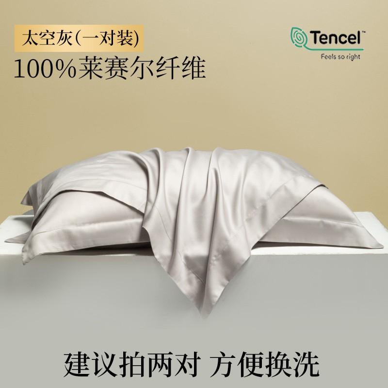Tencel Pillowcases Set Of 2 48x74cm Modal Fiber Breathable Cooling Sleep Cover Modern Minimalist Design