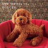 Ninian and Kino Plush Toy Realistic Toy Poodle Freely Approximately 33cm Lifelike Pet Dog, (Red), Poseable, Long,