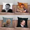 Наволочка Апо Абдуллы Оджалана для дома, спальни, автомобиля, офиса, для украшения гостиной, дивана, подходит