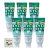 Lion Xylident Lion Toothpaste, 120g, Set of 6 + Bonus Gift with Kunutonn Original Logo