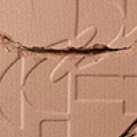 Двухцветные румяна для всего лица Проект/Одиночный продукт