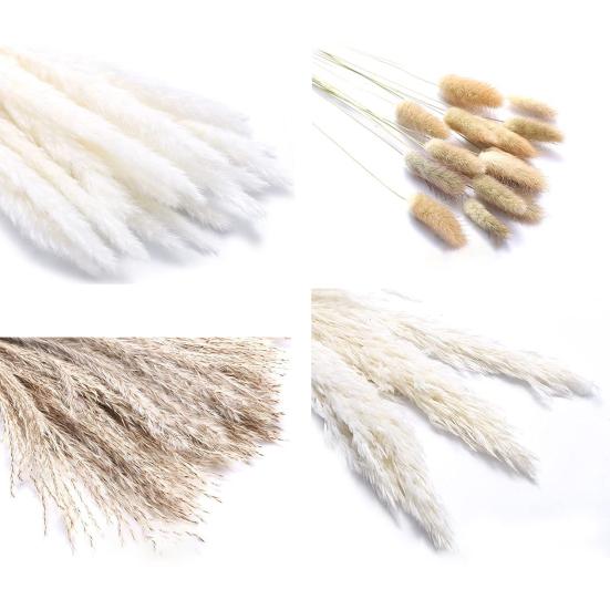 Красивая сухая тростниковая трава, не засохшая, изысканное декоративное мастерство