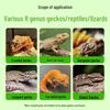 Lizard Calcium Powder: Reptile Nutritional Supplement for Geckos, Bearded Dragons, Blue Tongues, and Chameleons.