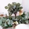 Искусственные листья эвкалипта стебли эвкалиптовые ветви с плодами фестивальные цветочные букеты свадебная праздничная зелень домашний декор