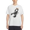Nike Dri Fit SS25 AS M ACG OC SCORPION SUMMIT Футболка Унисекс HV1291-121