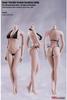Масштабное тело фигурки TBLeague S04B супер гибкое бесшовное тело безголовая серия размер груди [TOYBARJAPAN] 1/6 (Бледный L)