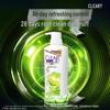 Clear Anti-Dandruff Shampoo & Noodle Gift Set