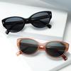 Cat-Eye Retro Sunglasses - European & American Trendy Texture Fashion with Inset Leg Design