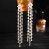 European and American Fashion Exaggerated Long Tassel Dangle Earrings for Women 925 Silver Needle Cubic Zirconia Eardrop