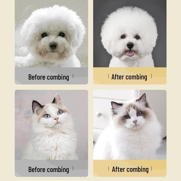 Pet Grooming Comb: Special Needle Brush for Cats and Dogs, Ideal for Teddy and Bichon Breeds