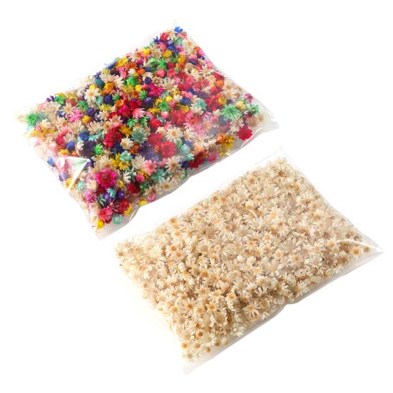 Привлекательный стабилизированный цветок, отличное качество изготовления, натуральный цветок ручной работы