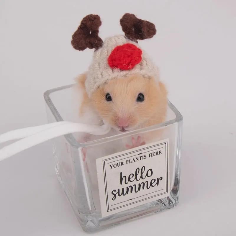 Handmade Knitted Hat for Small Animal, Mini Hand Pet Hat Tiny Hamster Hat for Parrot Snake Cute Chipmunk Guinea Pig Accessories