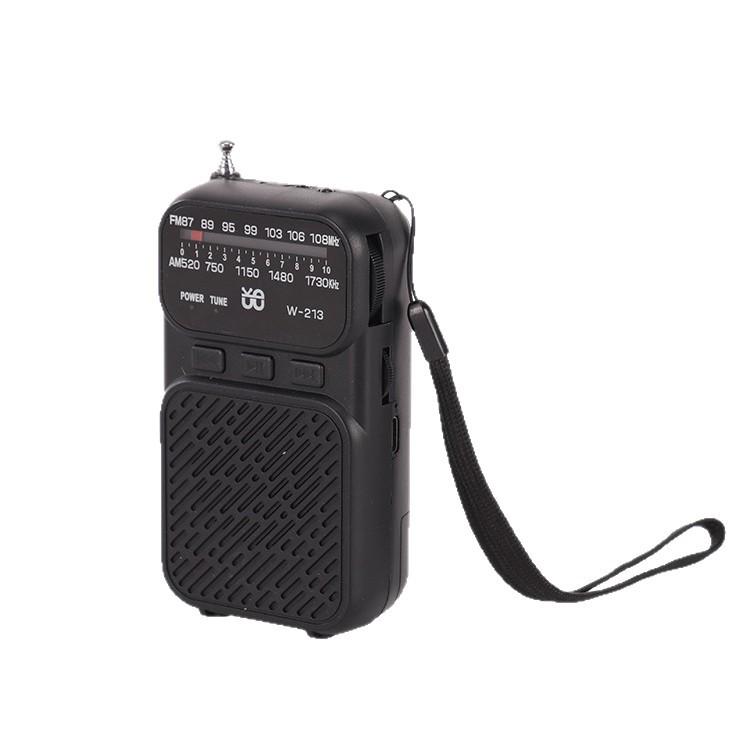 Карманный радиоприемник W-213 с двойным питанием, FM/AM, зажимом и фонариком