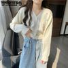 Small Flower Embroidery Knitted Cardigan for Women Spring and Autumn New Korean Version V-neck Top