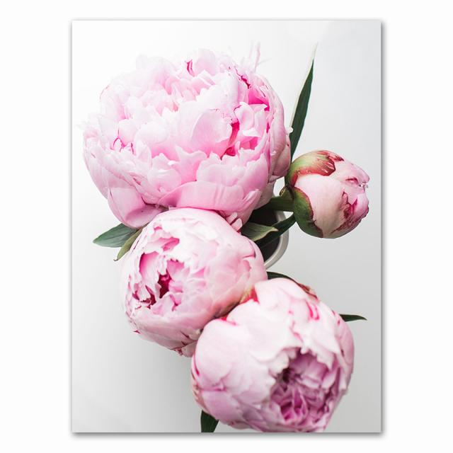 Картина на холсте, элегантный цветок пиона, фраза, постер и принт, настенная художественная картина для гостиной, украшение дома, скандинавский декор, без рамки